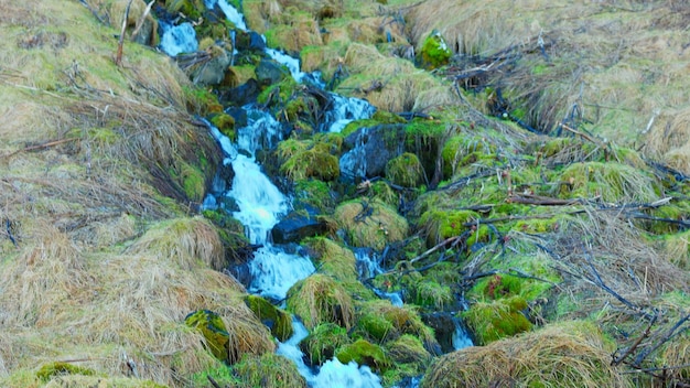 Courant d'eau d'une cascade islandaise coulant d'une falaise, débit d'une rivière tombant d'une montagne ou d'une colline à Reykjavik. Majestueuse cascade naturelle de Seljalandsfoss en Islande, paysage nordique.