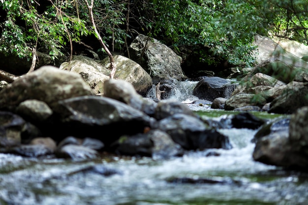 Photo courant d'eau