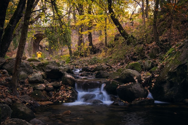 Courants d'eau claire dans les forêts d'Estrémadure Hervas Espagne