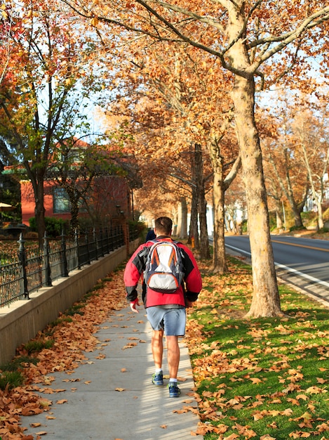 Coureur, athlète, courant, automne, allée