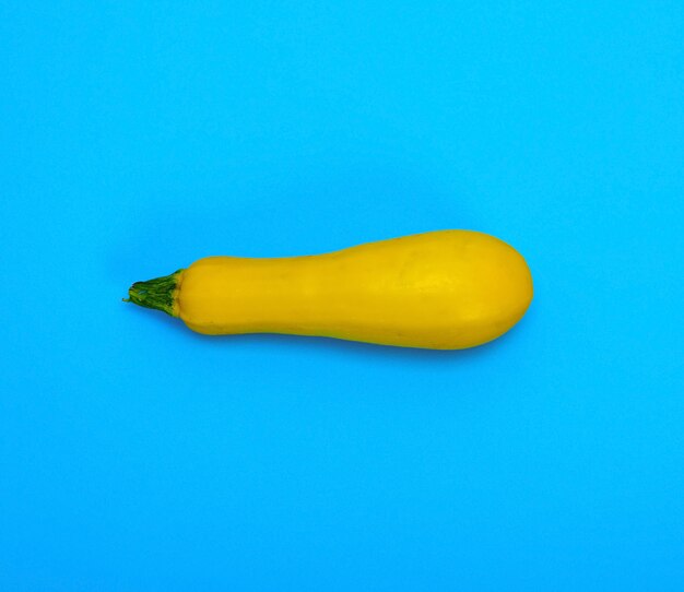 Courge jaune crue sur fond bleu