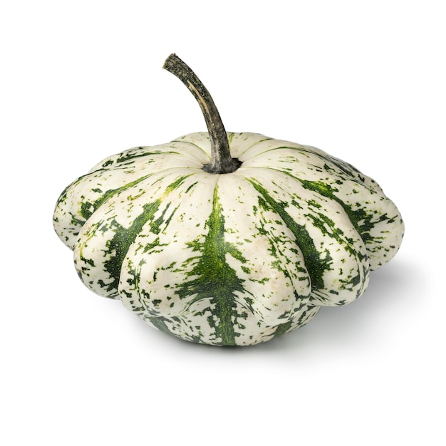 Courge pâtisson Cucurbita pepo fruit blanc vert disque variété isolé sur fond blanc gros plan