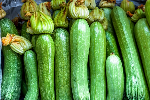 Courgettes blanches
