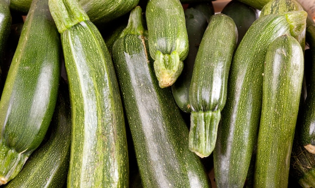 Courgettes fraîchement cueillies