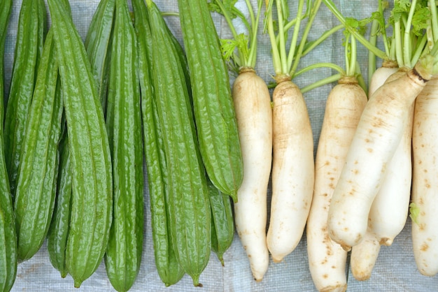 Courgettes et Radis