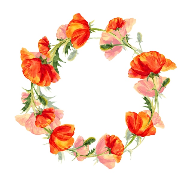 couronne d'aquarelle de coquelicots cadre circulaire dessiné à la main avec des fleurs de champ rouges boutons et feuilles illustration d'été de fleurs écarlates isolées sur fond blanc