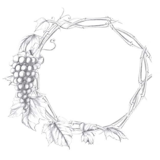 Couronne de branches de vigne entrelacées, de baies et de feuilles de raisin Illustration au crayon isolée pour la conception dans un style réaliste pour la conception de menus, de livres de cuisine, de design d'intérieur de restaurants, de boissons alcoolisées.
