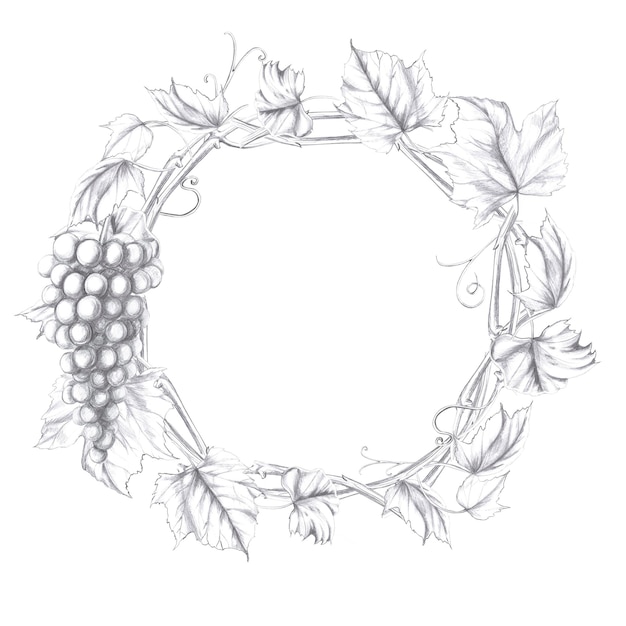Une couronne de branches de vigne entrelacées et un bouquet de raisins Illustration au crayon isolée pour la conception dans un style réaliste pour la conception de menus, de livres de cuisine, de design d'intérieur de restaurants, d'étiquettes de boissons alcoolisées.