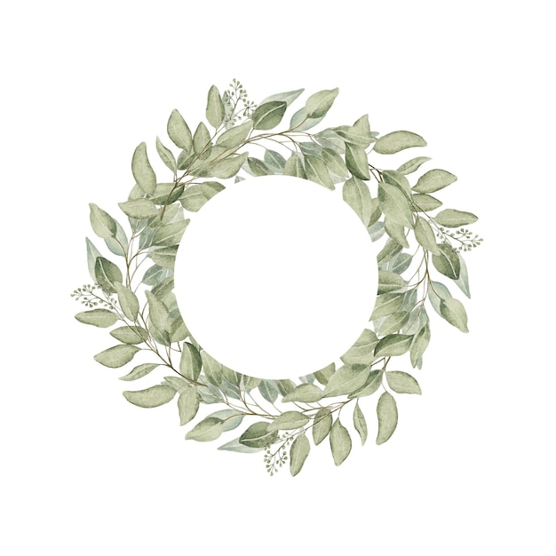 Couronne de cadre d'eucalyptus en aquarelle Branche de feuilles vertes sur un fond blanc isolé