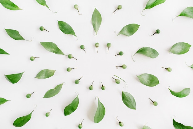 Couronne de cadre de feuilles vertes isolées