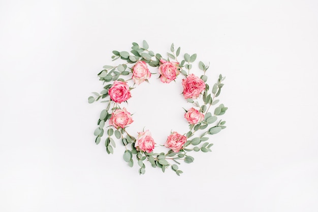 Couronne de cadre floral faite de fleurs roses rouges et de branches d'eucalyptus isolées sur fond blanc. Mise à plat, vue de dessus