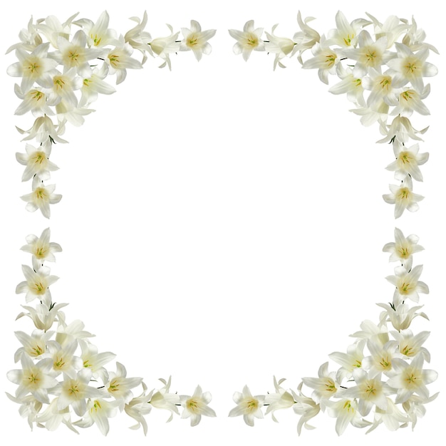 couronne de fleurs et de feuilles de tulipes blanches, isolées