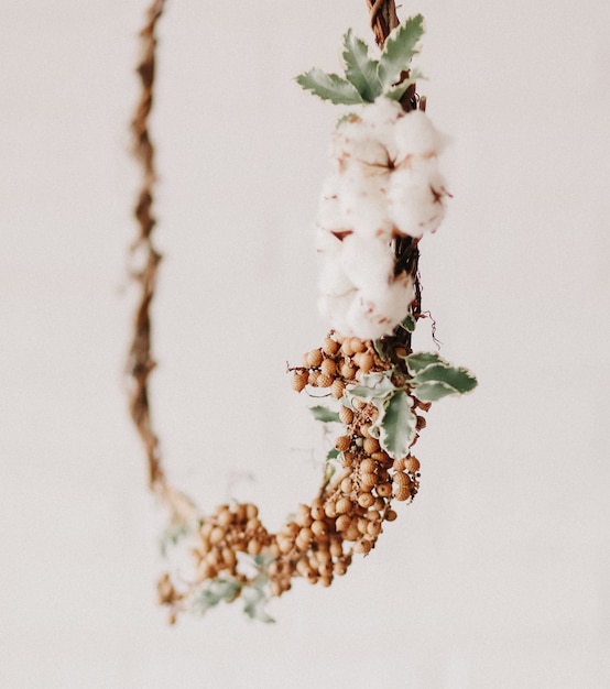 Couronne de fleurs séchées en coton décoré de fond blanc