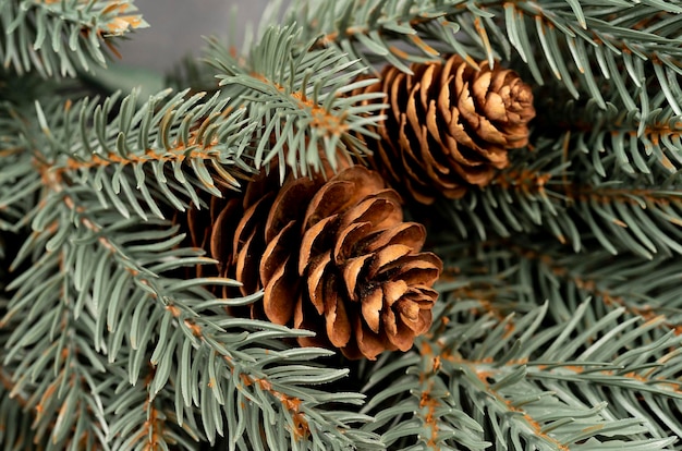Couronne de Noël avec assortiment de branches à feuilles persistantes sur mur de béton gris Couronne décorative de Noël