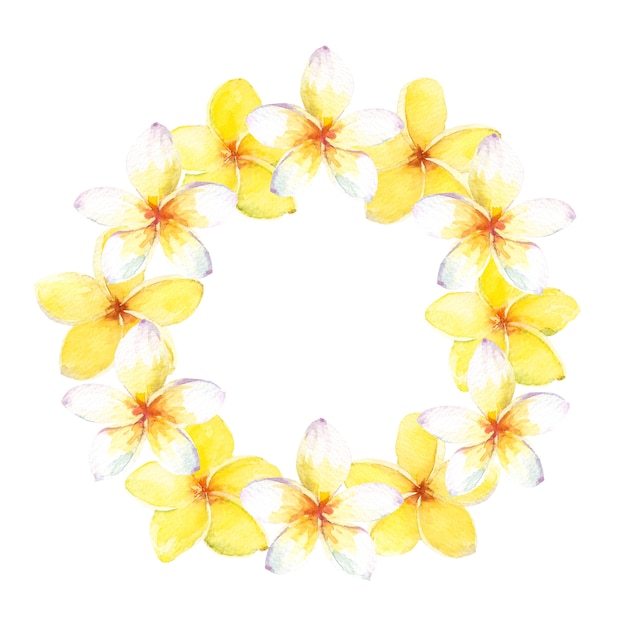 Couronne tropicale aquarelle avec des fleurs de plumeria blanches et jaunes