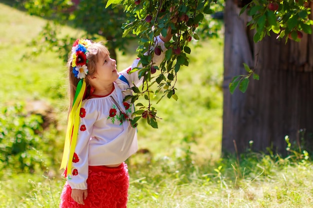 Couronnes traditionnelles ukrainiennes sur fond de feuilles