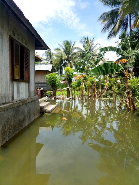 des cours et des jardins qui ont été submergés par l'eau en raison d'inondations nocturnes.