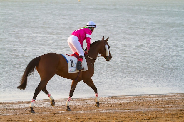 Course de chevaux sur Sanlucar de Barrameda, Espagne