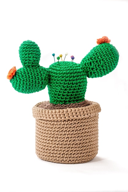 Coussinet en forme de cactus dans un pot crocheté sur fond blanc