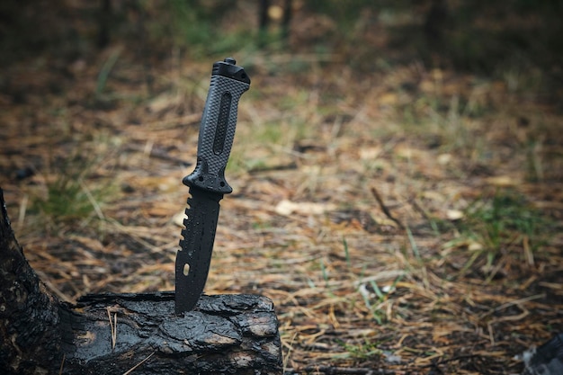 Un couteau tactique militaire humide est coincé dans le tronc d'un arbre brûlé tombé dans la forêt.