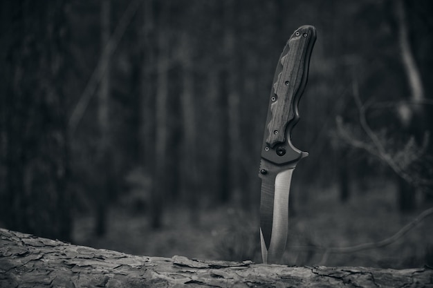 Couteau tactique pour la survie et la protection des conditions difficiles coincé dans le tronc de l'arbre en forêt Noir et blanc