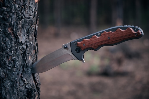 Couteau tactique pour la survie et la protection dans des conditions difficiles coincé dans un tronc d'arbre en forêt