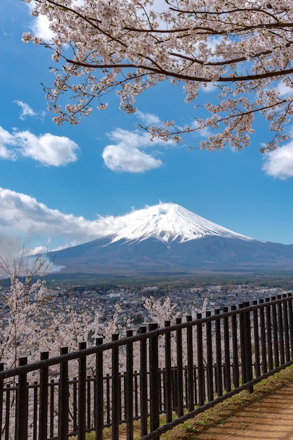 Couvert de neige Mont Fuji Mt Fuji avec fond de ciel bleu foncé clair dans les fleurs de cerisier sakura