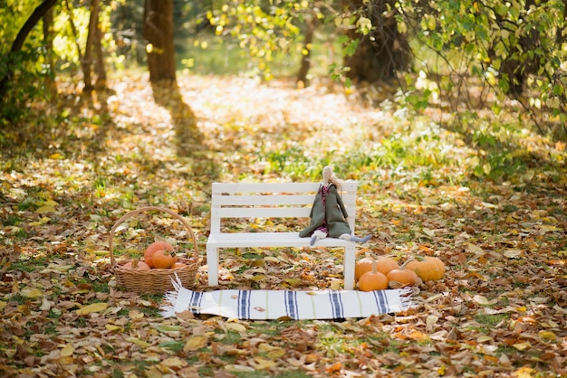 Une couverture et un panier avec des citrouilles en automne dans le parc sur des feuilles jaunes tombées