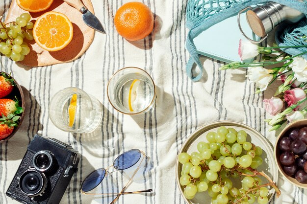 Couvre-plat de pique-nique d'été féminin, fruits, baies et eau de citron sur une couverture en coton à rayures
