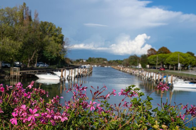 Le cove est une petite île à grado gorizia