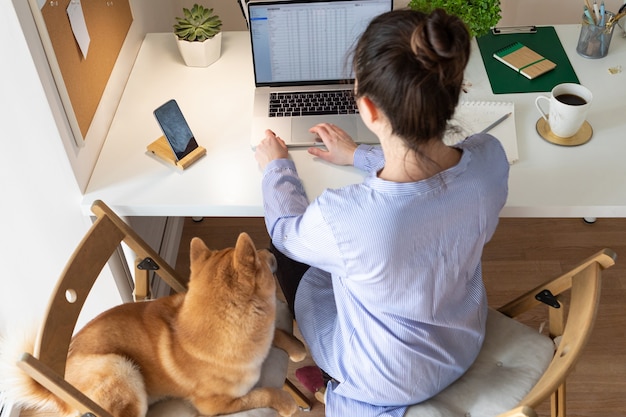 Covid-19 travaillant à domicile concept. Femme utilisant un ordinateur portable, le chien Shiba Inu dort près d'elle