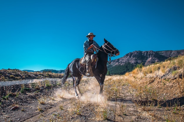 Cowboy Argentin (gaucho) Promène Son Cheval Devant La Caméra, En Patagonie.