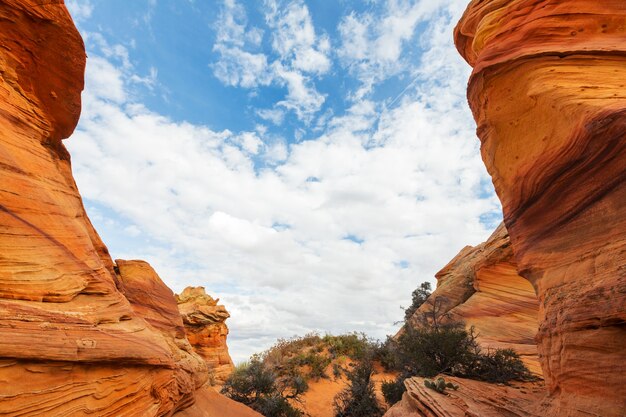 Coyote Buttes de la région sauvage de Vermillion Cliffs, Utah et Arizona