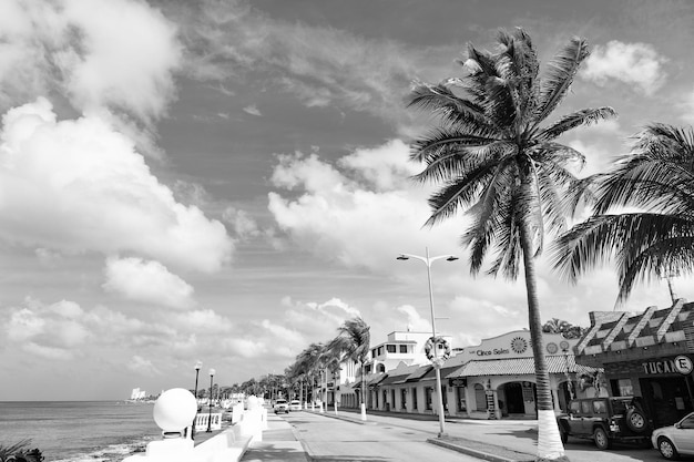 Photo cozumel mexique 24 décembre 2015 avenue de promenade d'été au bord de la mer des palmiers