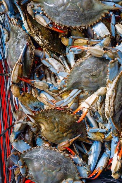 Photo crabe bleu au marché au poisson local