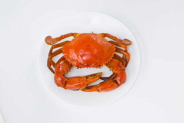 Crabe de boue cuit, disposé sur une assiette en céramique ronde blanche avec fond texturé blanc, vue de dessus.