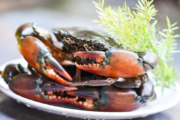 Crabe de boue dentelé aux fruits de mer frais