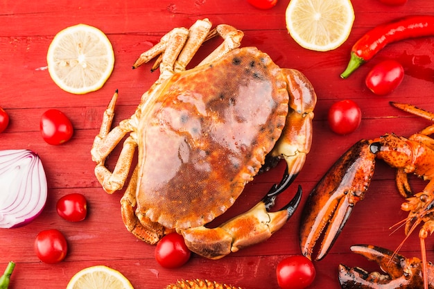 Crabe brun cuit ou crabe comestible isolé