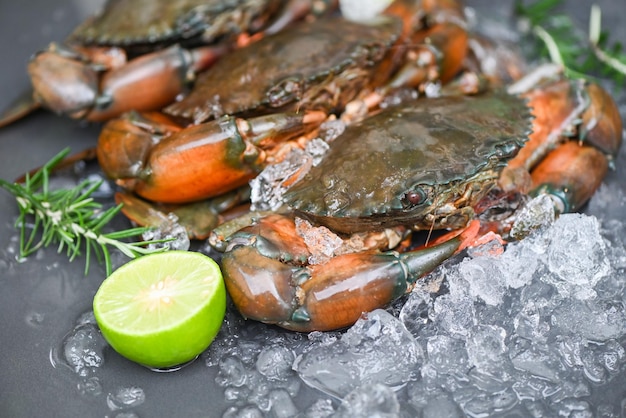 Crabe cru sur fond blanc crabe de boue fraîche avec de la glace pour la cuisson des aliments dans le restaurant de fruits de mer