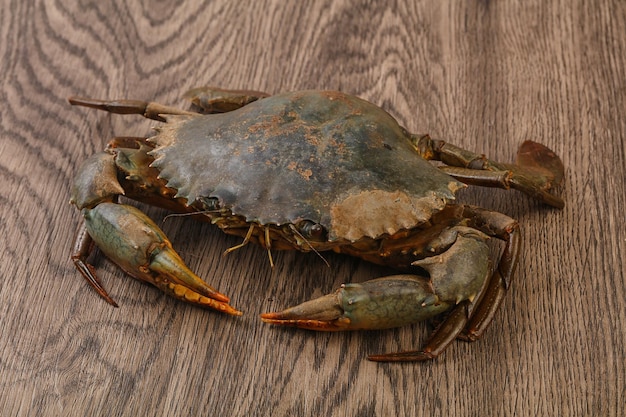 Crabe cru