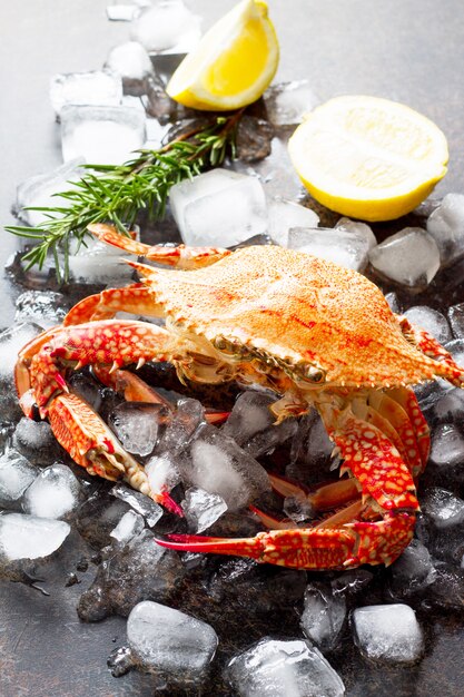 Crabe cuit sur des glaçons au citron