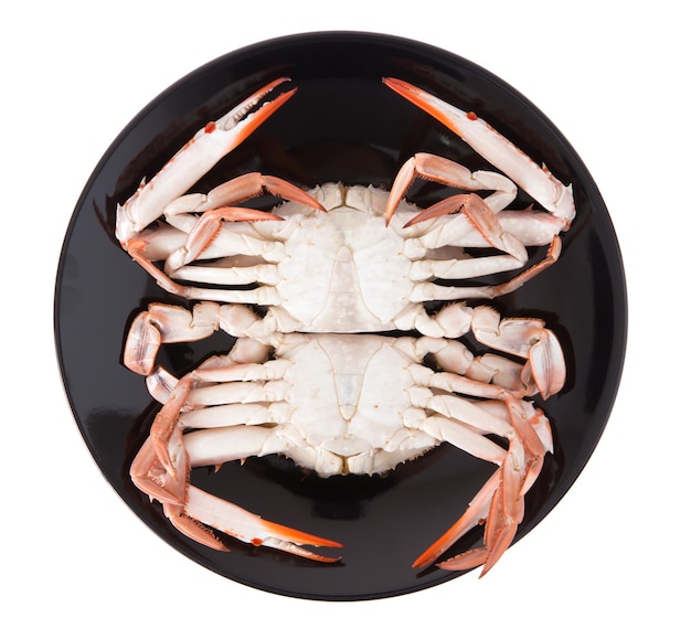 Crabe cuit préparé sur plaque noire isolé sur fond blanc