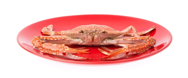 Crabe cuit préparé sur plaque rouge isolé sur fond blanc