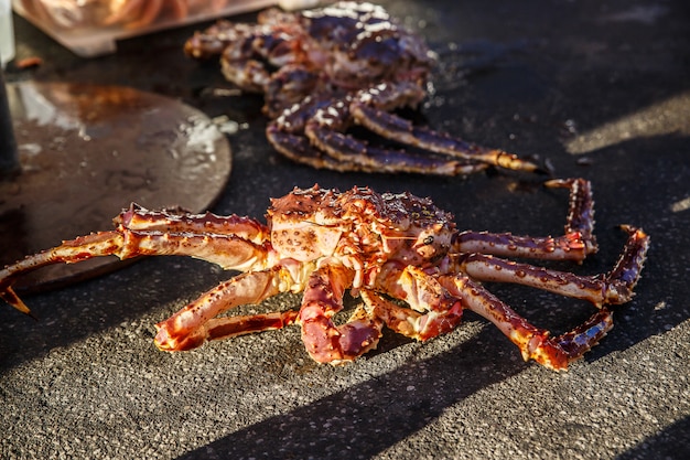 Crabe à poils japonais frais