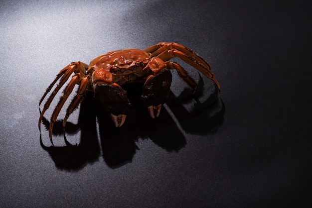 Crabe poilu bouilli de Changhaï ou crabe chinois de mitaine (Eriocheir sinensis) avec le piment et l'herbe sur le fond noir