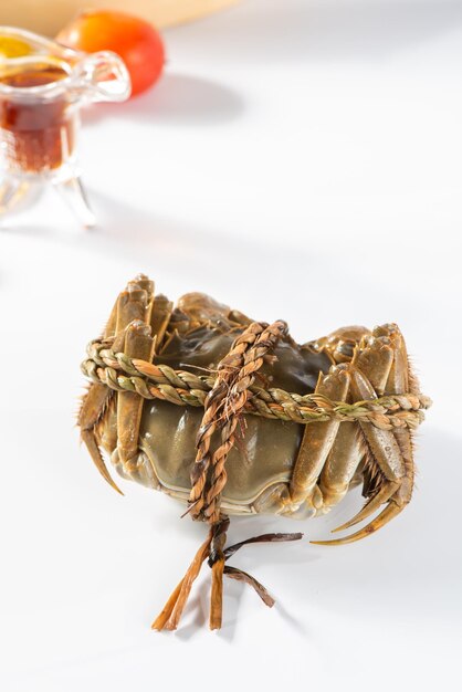 Crabe poilu de shanghai au crabe chinois cru