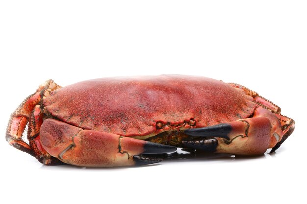 Crabe