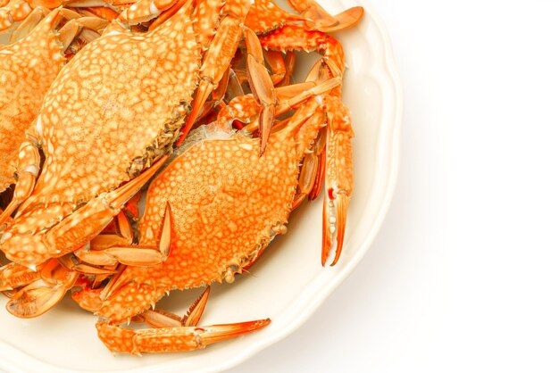 Crabes cuits à la vapeur sur fond blanc