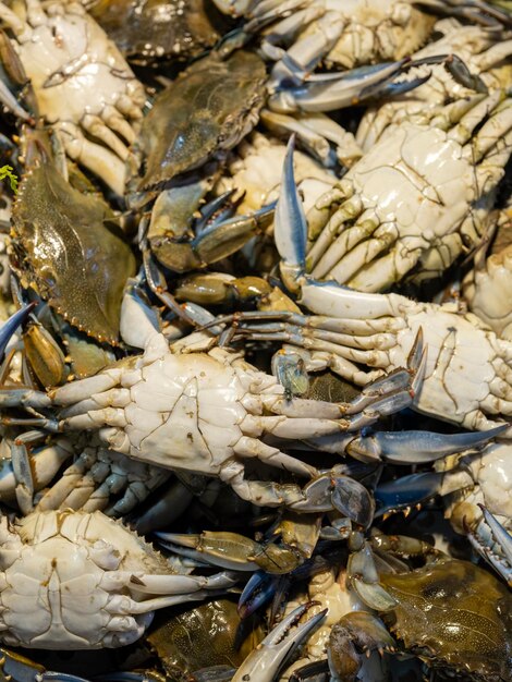 Crabes frais au marché local