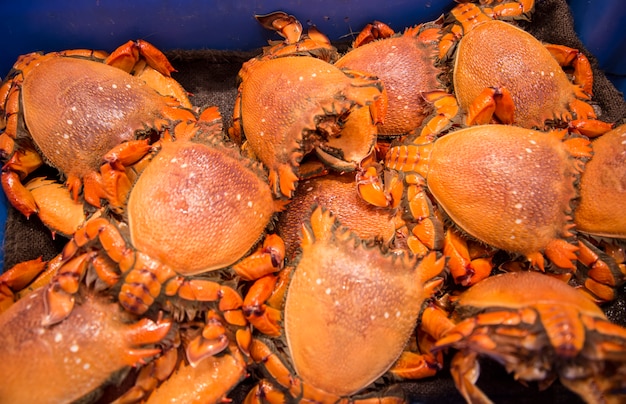 Photo crabes sur le marché